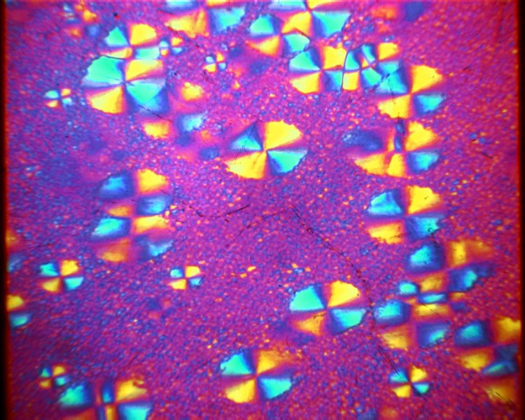 Mikroskopie PA Kristallisation