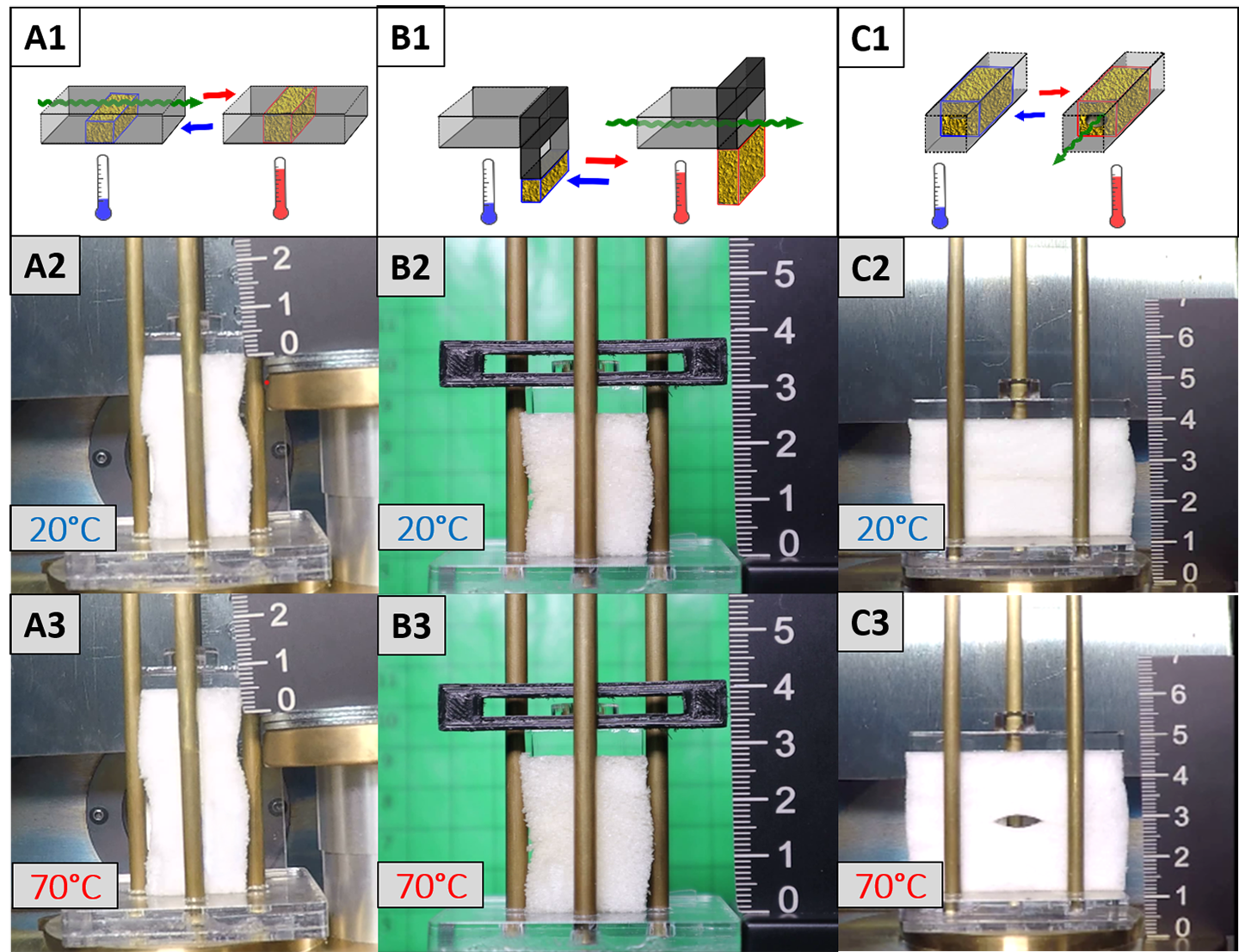 Programmierbarer Wärmedurchgang Schematische Darstellung des Schaumstoffaktuator-Konzepts der ersten (A1), zweiten (B1) und dritten Generation (C1): Grenzzustände der Demonstratoren bei tieferer Temperatur (A2, B2, C2) und erhöhter Temperatur (A3, B3, C3)