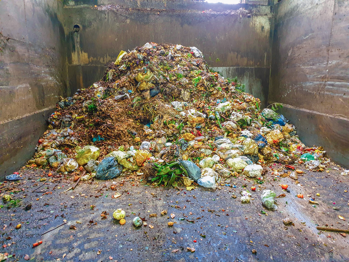 Frisch angelieferter Biomüll aus den im Projekt BabbA untersuchten Landkreisen: BAW- und Plastiktüten sind deutlich erkennbar. Frisch angelieferter Biomüll aus den im Projekt BabbA untersuchten Landkreisen: BAW- und Plastiktüten sind deutlich erkennbar.