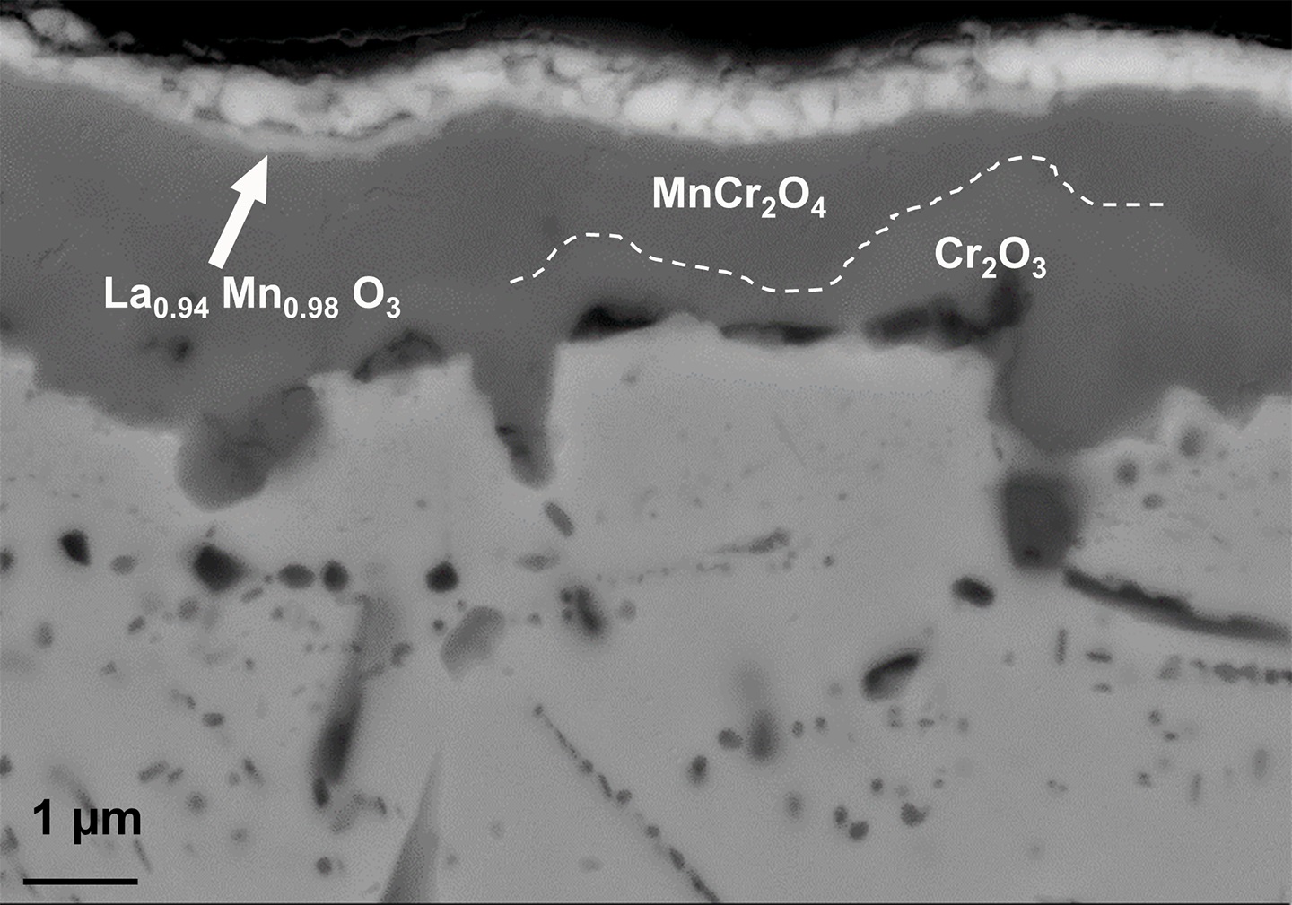 Beschichtung auf Lanthanoxid-Basis auf einem Edelstahl für Interkonnektoren in der Hochtemperaturelektrolyse