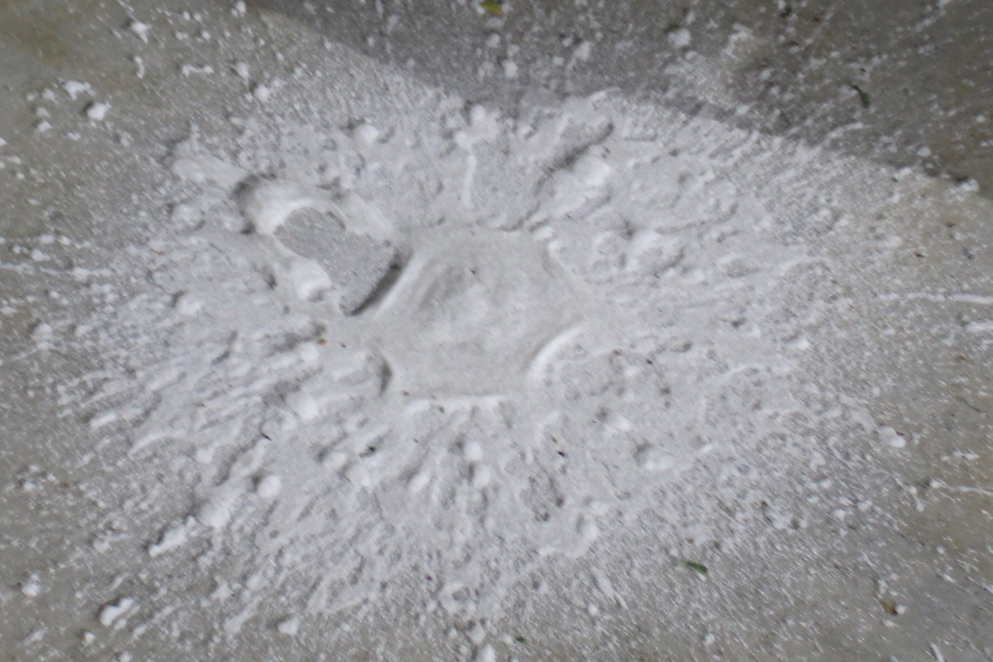 Vielversprechende Vorversuche – thermoplatischer Sprühschaum aus nachwachsenden Rohstoffen