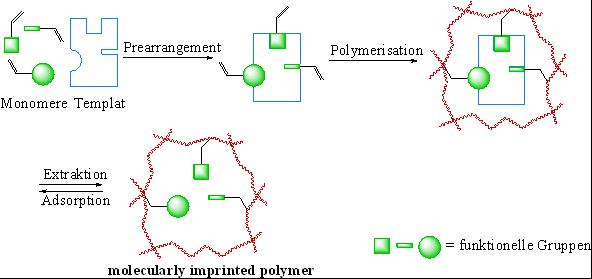 Molecular Imprinted Polymers