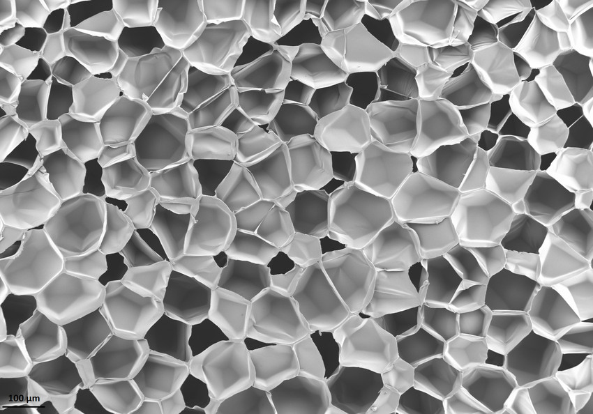 SEM image of EPS