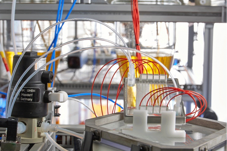 Spatially resolved spectroscopic process analysis in microreactors using pushbroom-imaging and fiber optics.