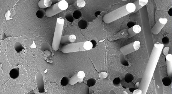 Fracture pattern (SEM) of glass fibers with poor bonding to the PLA matrix